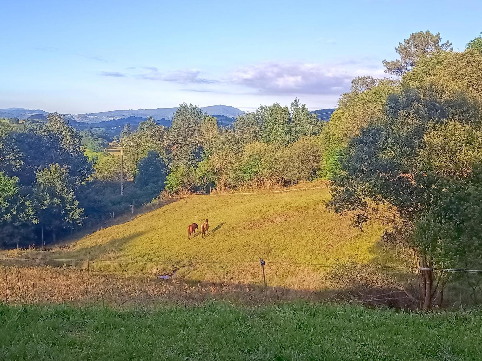 Casa Rural Tulia Grado Buitenkant foto